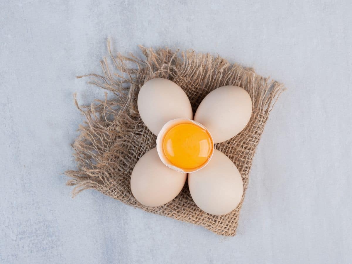 क्या अंडा खाते वक्त निकाल देते हैं उसका पीला भाग? जानिए अंडे खाने का सही तरीका और फायदे